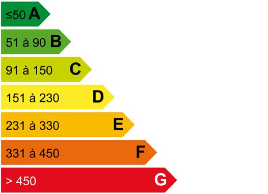 Diagnostic de performance énergétique : 50